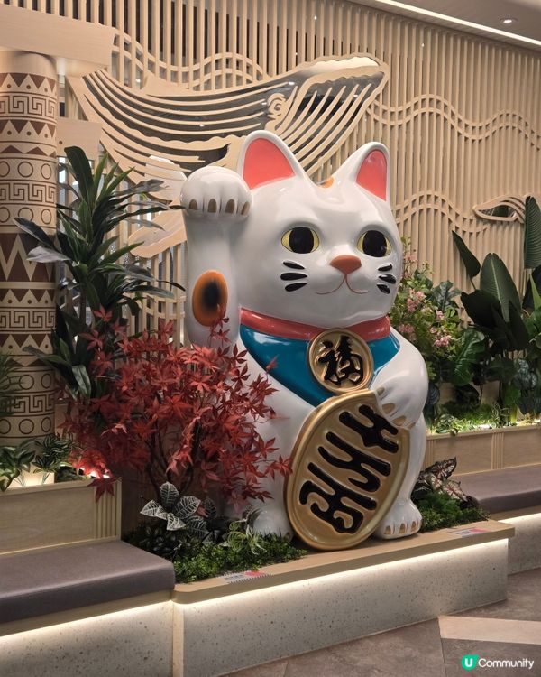 千海水產 - 即撈即煮海鮮火鍋放題