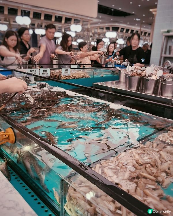 千海水產 - 即撈即煮海鮮火鍋放題