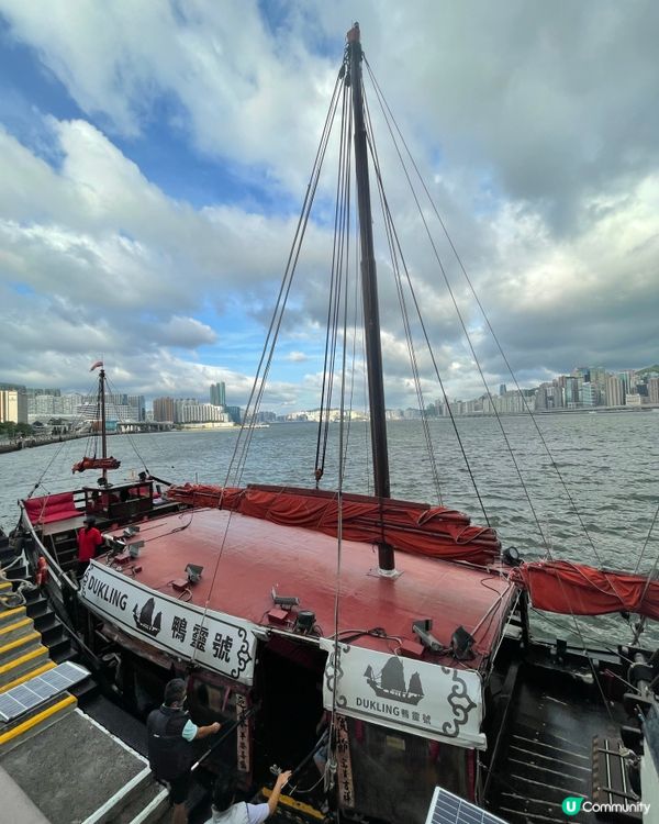 維港遊