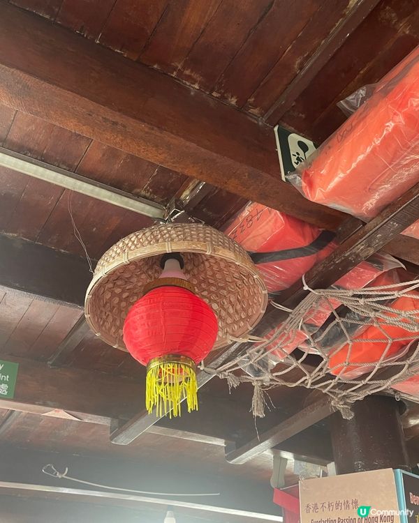 維港遊