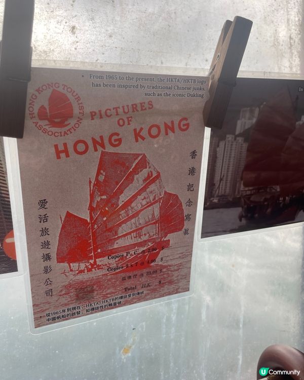 維港遊