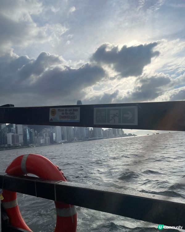 維港遊