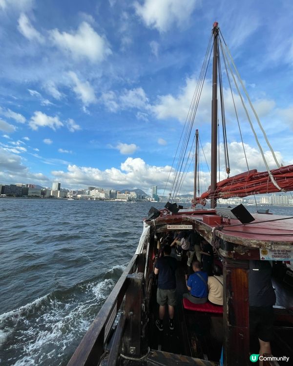 維港遊
