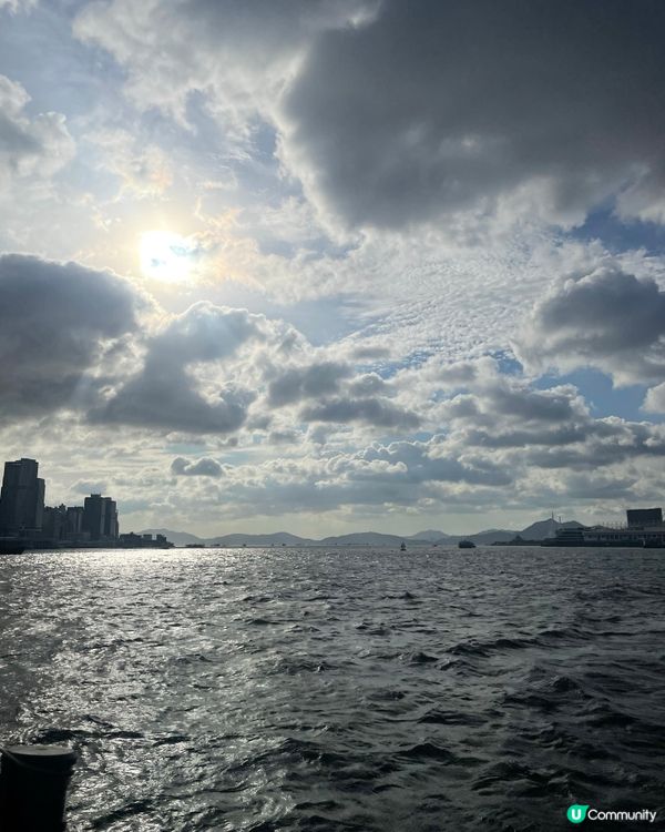 維港遊