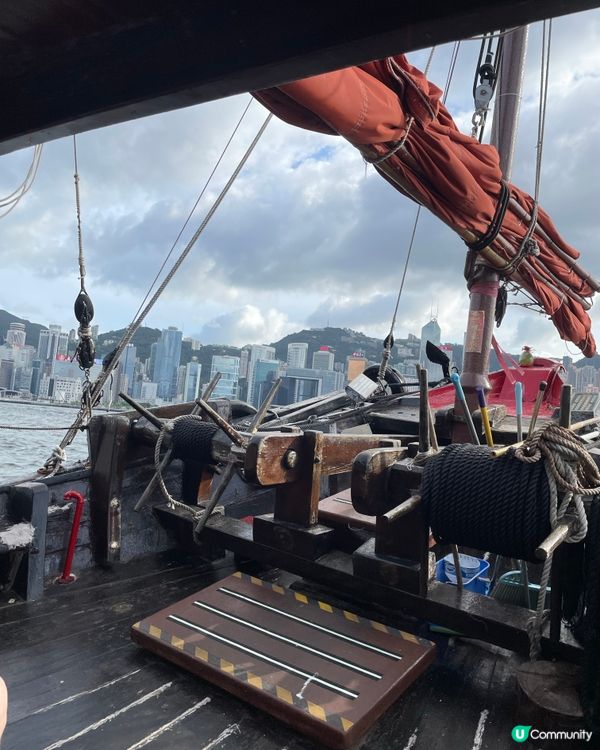 維港遊