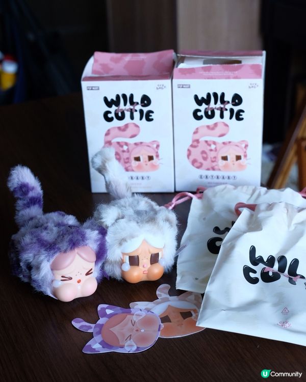 【豹豹貓貓開箱！😻 靚到爆！ 】