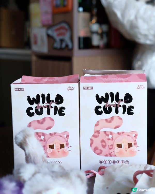 【豹豹貓貓開箱！😻 靚到爆！ 】