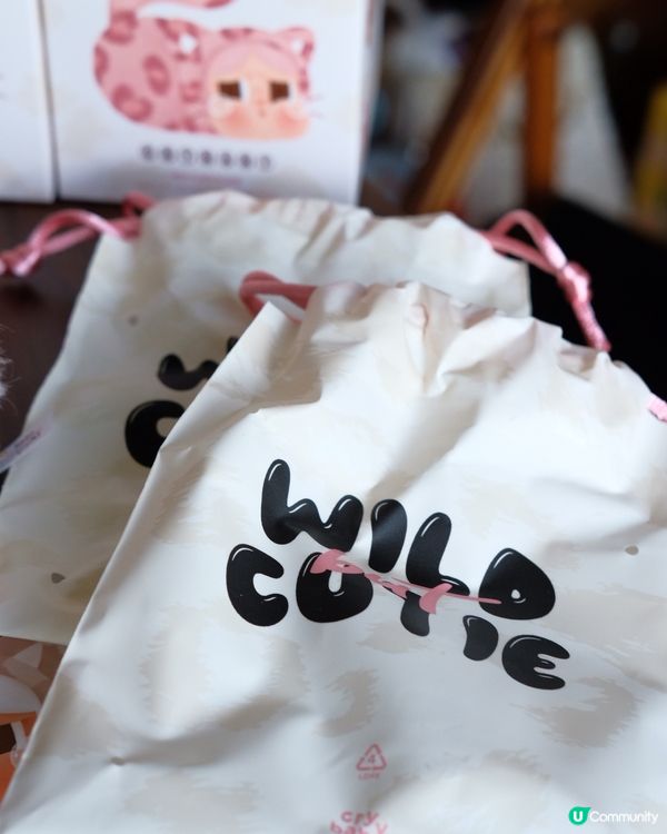 【豹豹貓貓開箱！😻 靚到爆！ 】