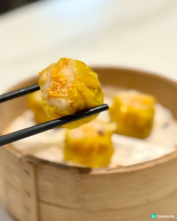 尖沙咀美味隱世私廚 生滾花膠雲吞雞麵和點心