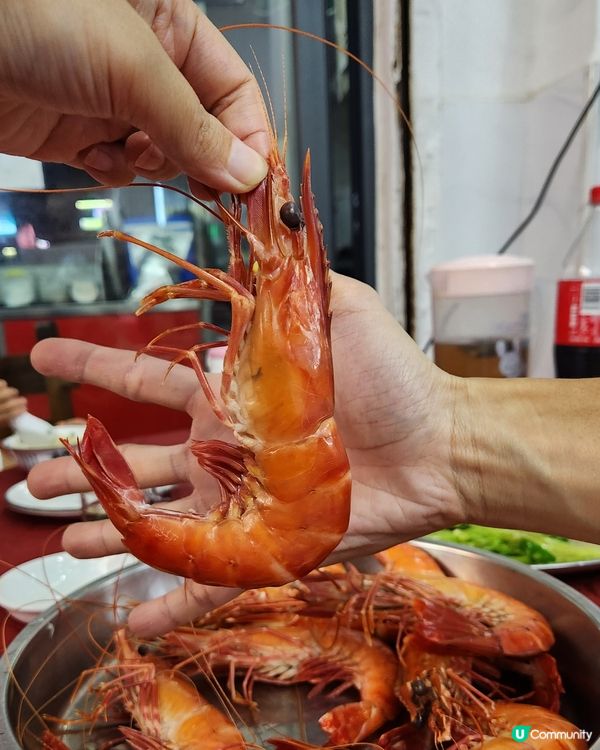珠海白藤頭海鮮之旅！🤤 鮮到爆！