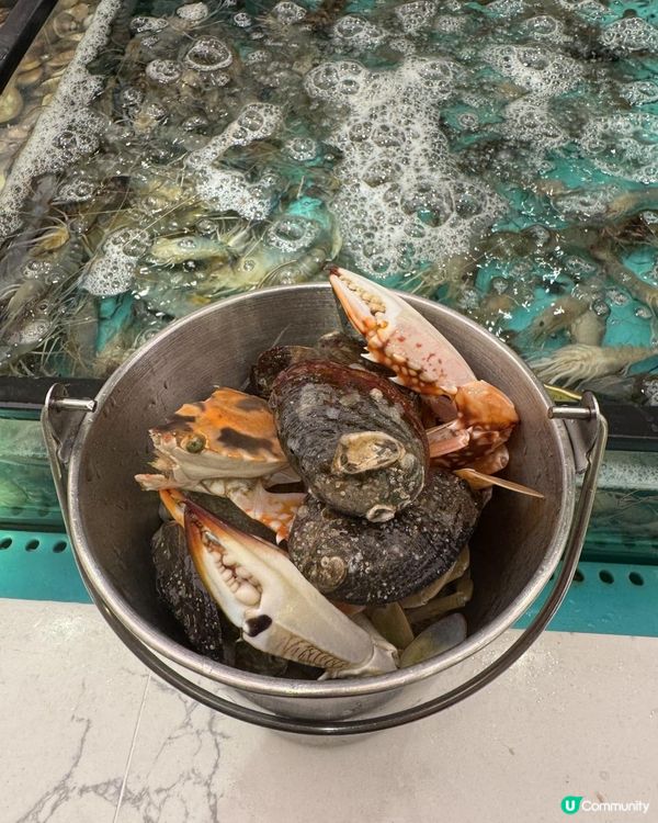 自助撈海鮮🦀不停補貨🦐無限量任撈🐚🪸