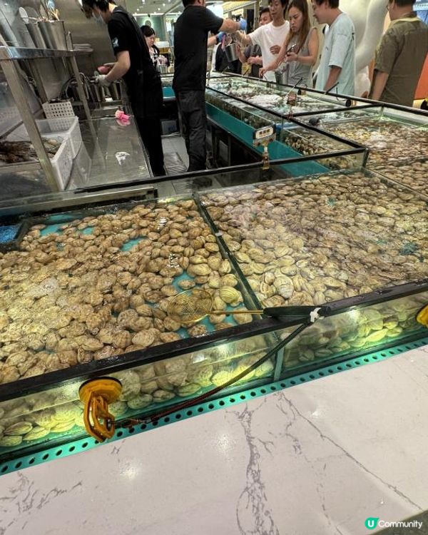 自助撈海鮮🦀不停補貨🦐無限量任撈🐚🪸