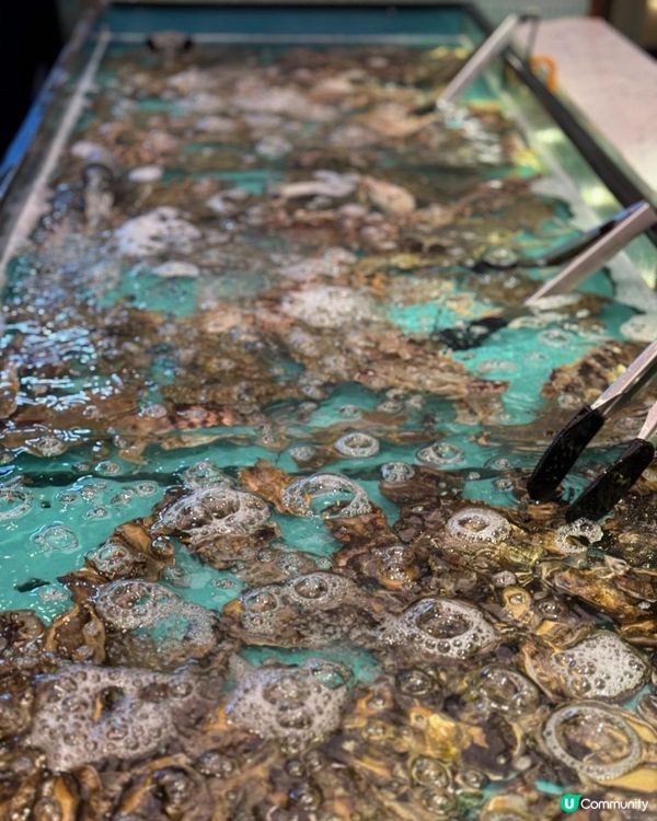 自助撈海鮮🦀不停補貨🦐無限量任撈🐚🪸