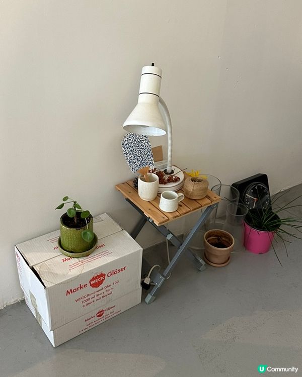 🇰🇷首爾小清新咖啡店｜季節限定甜品·超推💛「粟米忌廉蛋捲」