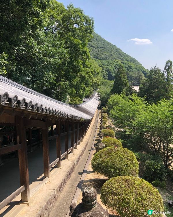 環遊日本🇯🇵岡山一日遊路線詳細攻略🍑