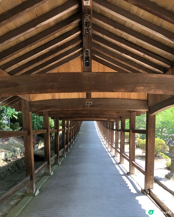 環遊日本🇯🇵岡山一日遊路線詳細攻略🍑