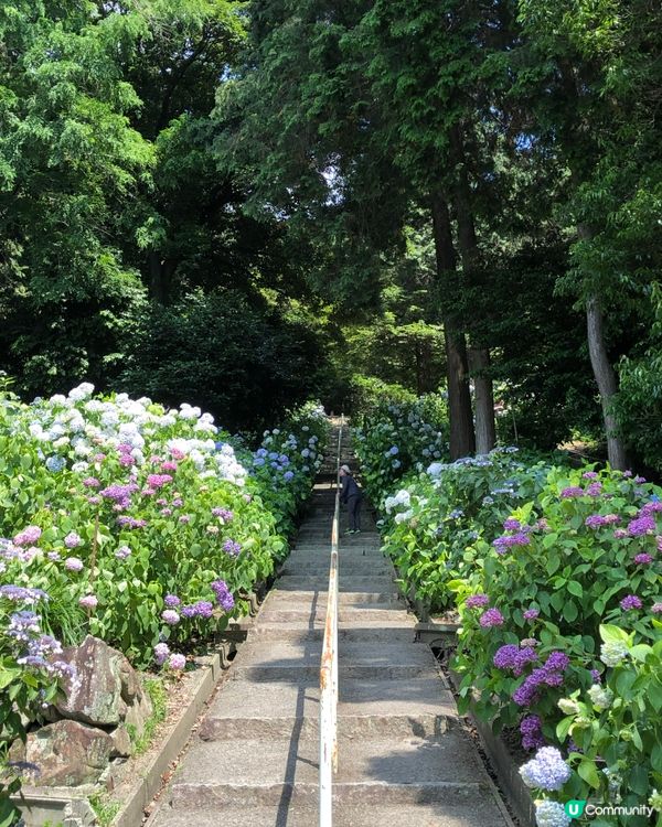 環遊日本🇯🇵岡山一日遊路線詳細攻略🍑