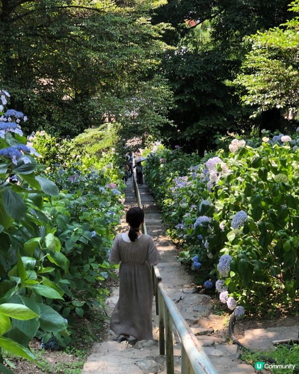 環遊日本🇯🇵岡山一日遊路線詳細攻略🍑