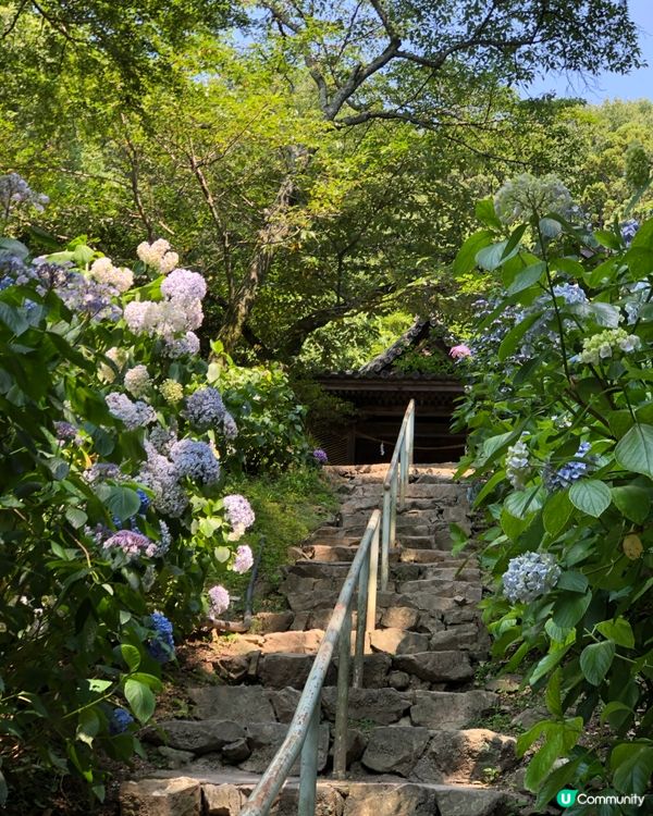 環遊日本🇯🇵岡山一日遊路線詳細攻略🍑