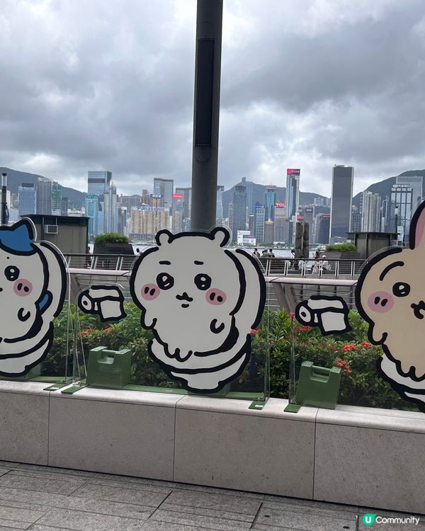 # Chiikawa day, Hong Kong 