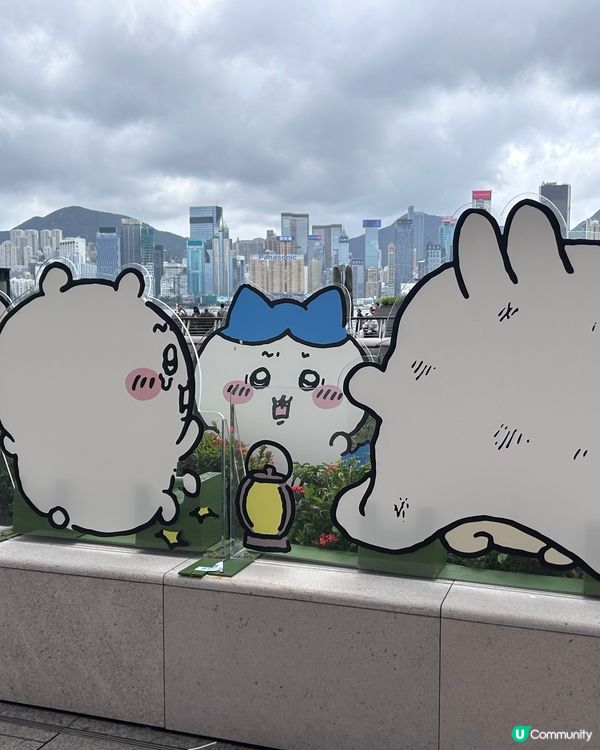 # Chiikawa day, Hong Kong 