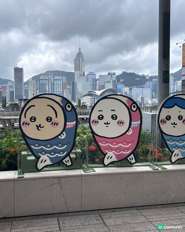 # Chiikawa day, Hong Kong 