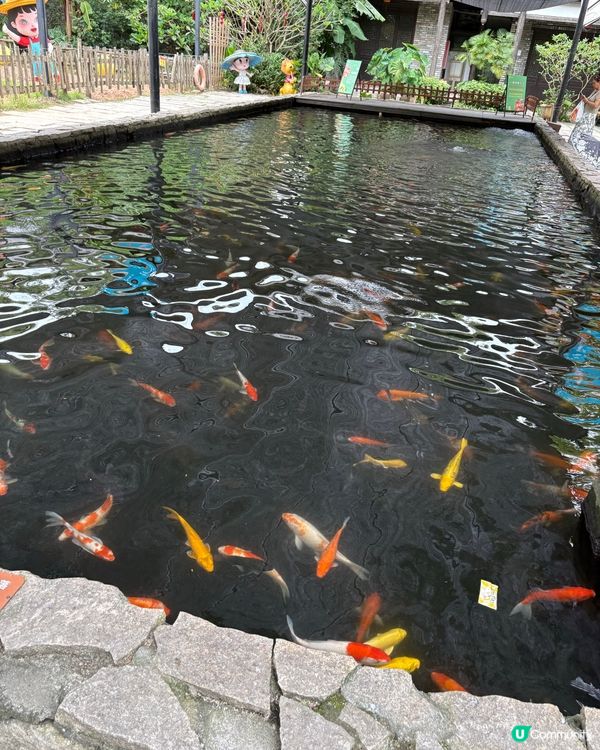 「甘坑古鎮」一天遊📸客家文化探索之旅🍜