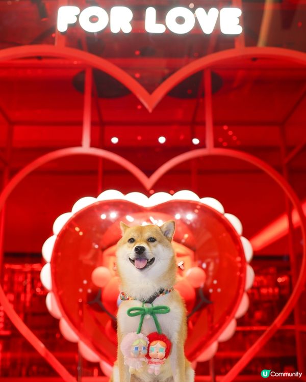 限定活動 Crybaby Playground 