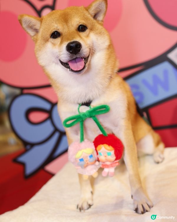 限定活動 Crybaby Playground 