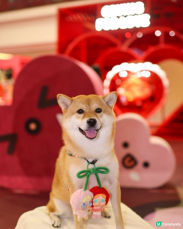 限定活動 Crybaby Playground 