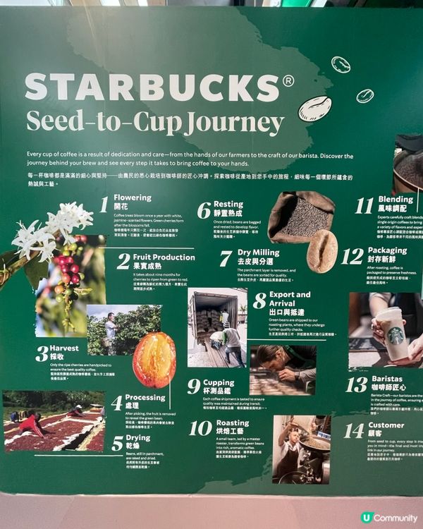 【拍拖必去! 星巴克25週年展🤩】