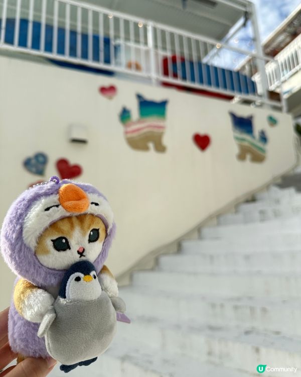 有海灘又有草地嘅打卡點🩵🌊