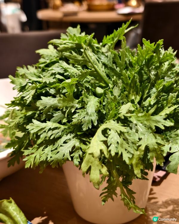 米芝蓮一星川菜餐廳