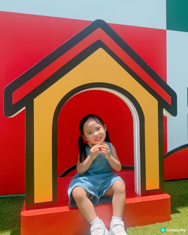 日本療癒系萌犬來襲‼️