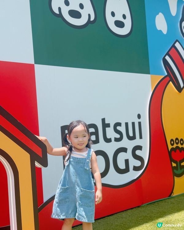 日本療癒系萌犬來襲‼️