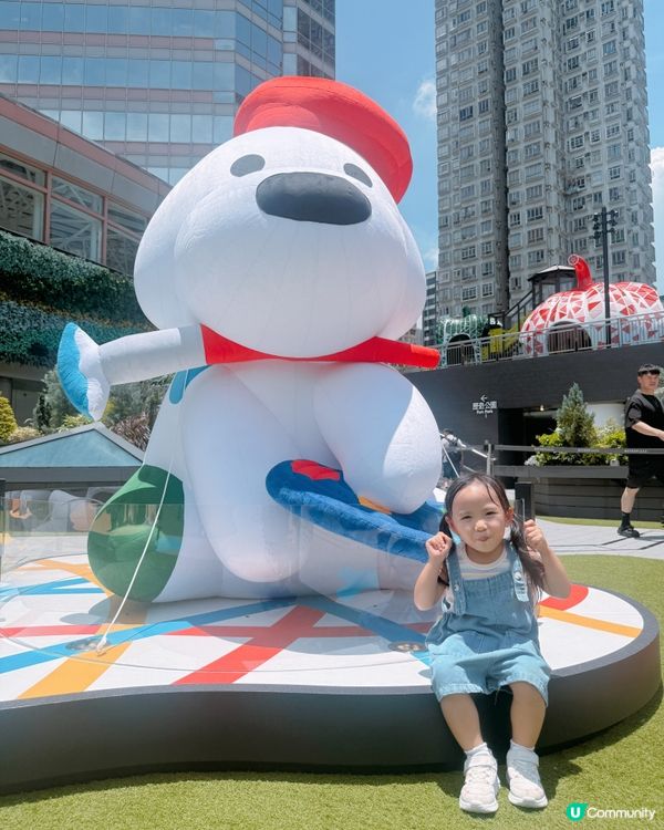 日本療癒系萌犬來襲‼️