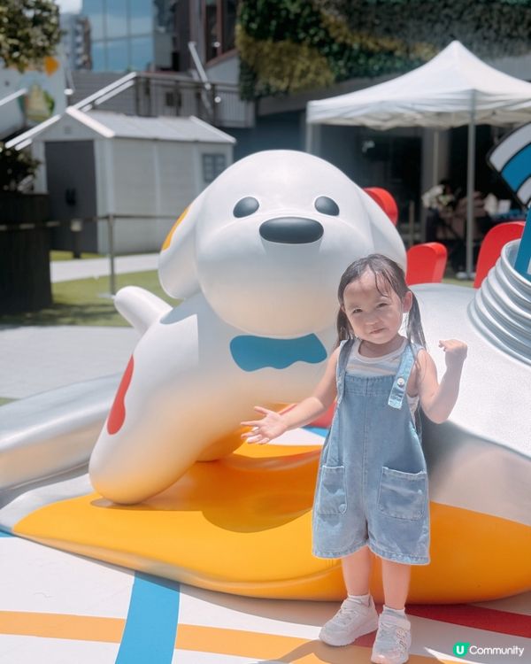 日本療癒系萌犬來襲‼️