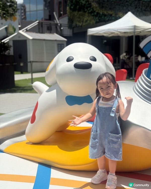 日本療癒系萌犬來襲‼️