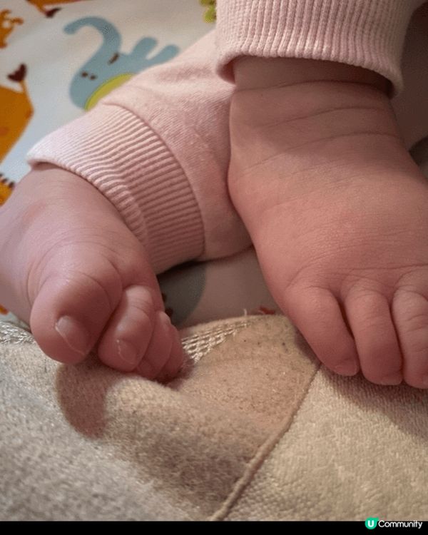 子女健康成長，最重要的一環是「陪伴」。時光飛逝，子女好快就會...