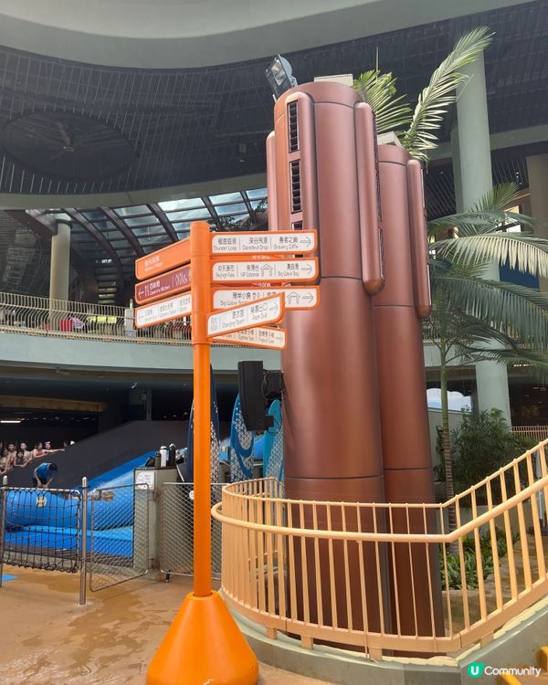 終於去咗海洋公園水上樂園🎉🎉超好玩！夏天必去！