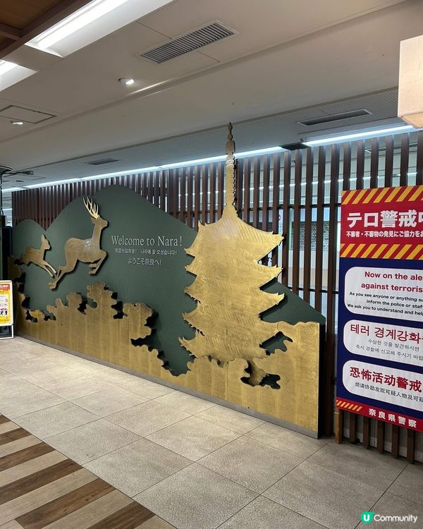 去奈良公園睇吓鹿