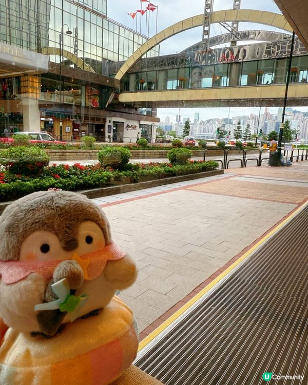 芒果控注意！泰式風味🥭😋