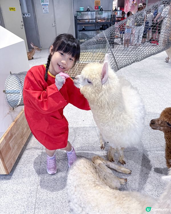 // 🦔親親小動物🐇 //