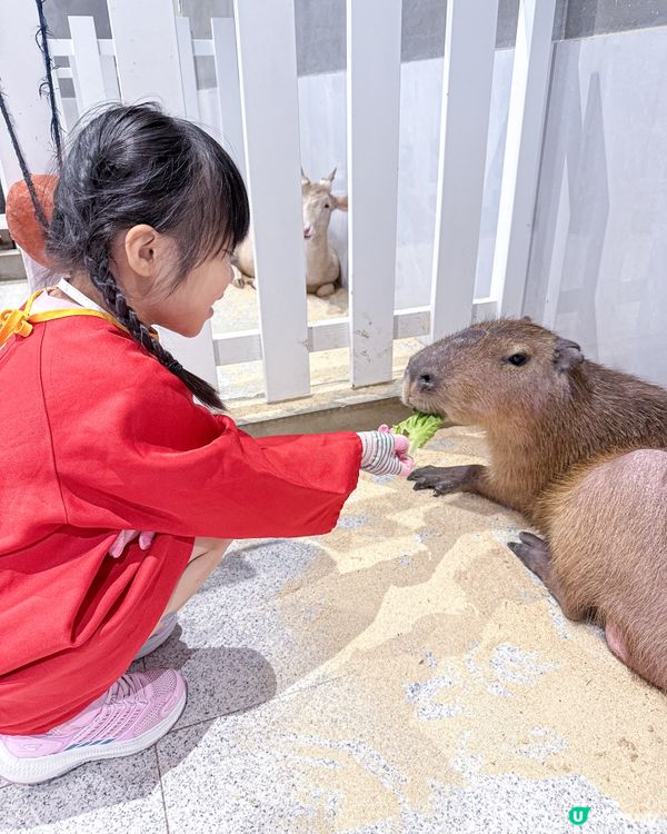 // 🦔親親小動物🐇 //