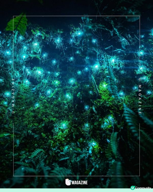 人生必看！藍色地底銀河