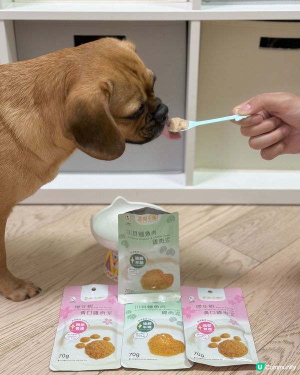 🐶主子最愛的零食政策！