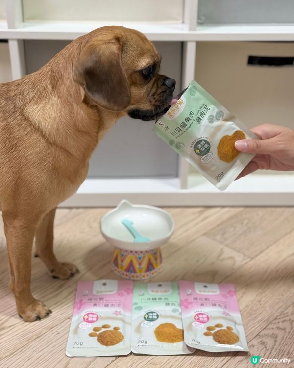 🐶主子最愛的零食政策！