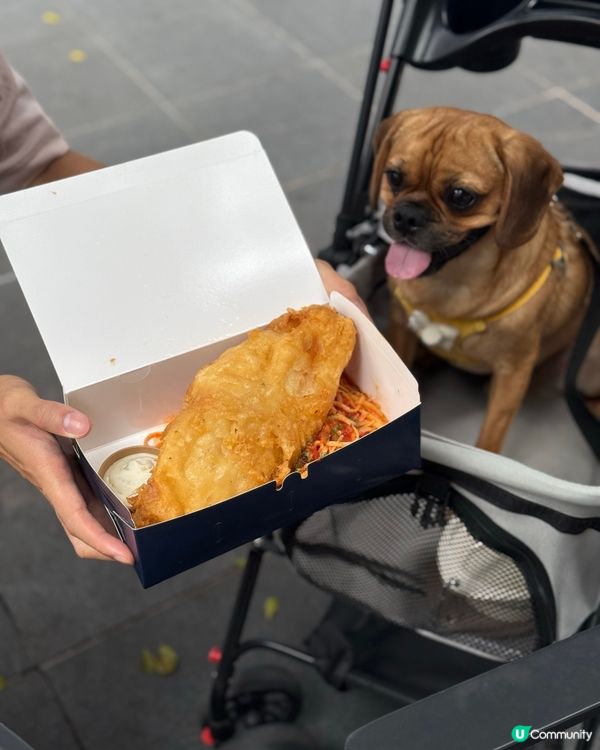 真Pet Friendly！🐶