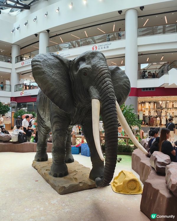 🐘見🐼習🦒護🦘理🦛員🐨