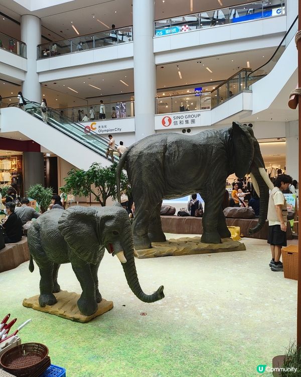 🐘見🐼習🦒護🦘理🦛員🐨